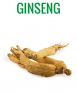 GINSENG